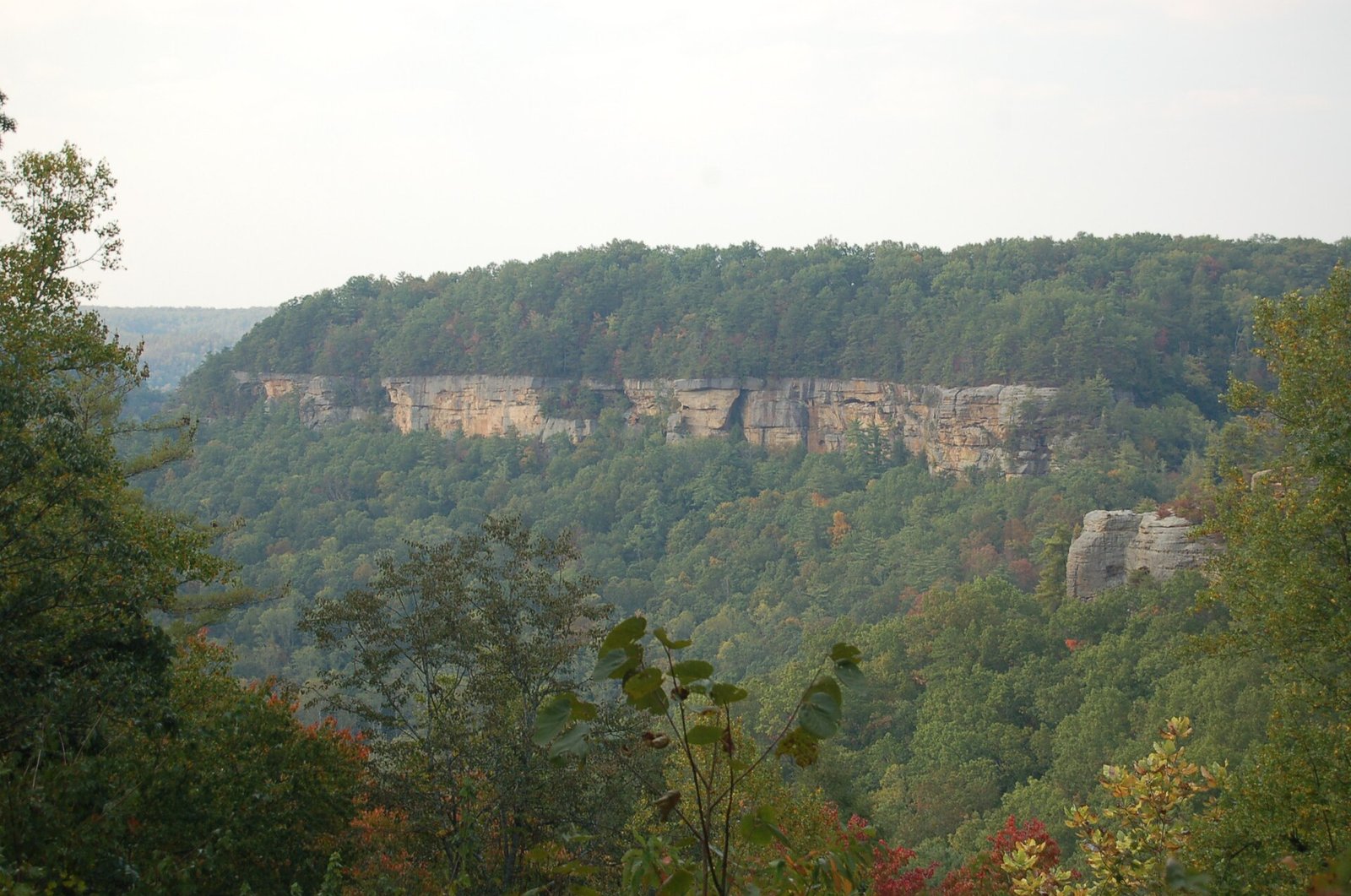 Sandstone clifflines above the forest, seen from a Red River Gorge overlook